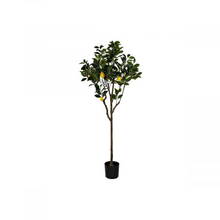 Albero DKD Home Decor Limone Poliestere (74 x 74 x 150 cm) Made in Italy Global Shipping