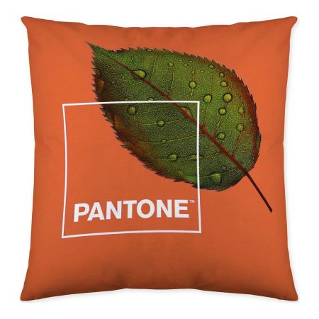 Fodera per cuscino Nature Pantone Reversibile (50 x 50 cm) Made in Italy Global Shipping