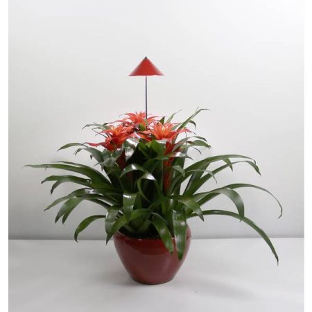Venso Lampadina LED per piante SUNLiTE LED a montaggio fisso 7 W Bianco neutro 1 pz.