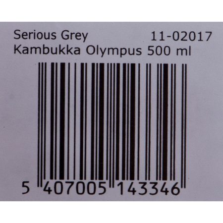 Thermos Kambukka Olympus Acciaio inossidabile 500 ml