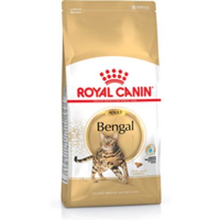 Cibo per gatti Royal Canin Bengal Adult Adulto Vegetale Uccelli 10 kg Made in Italy Global Shipping